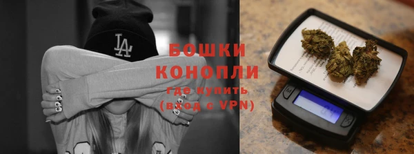 гидра Семёнов