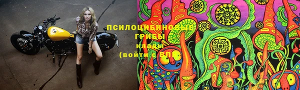 гидра Семикаракорск