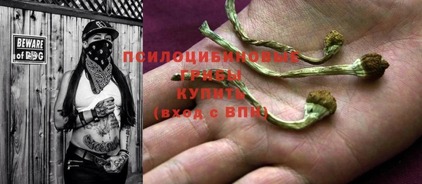гидра Семёнов