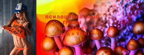 дурь Семилуки